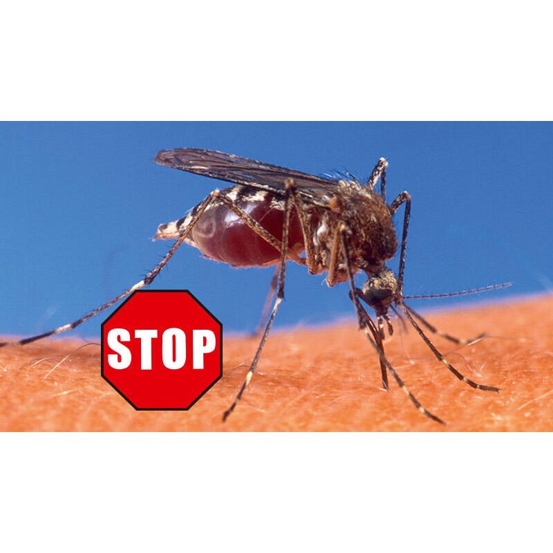 Beko CAREline Insekten-STOP – Hautschutz vor Mücken, Bremsen, Wespen & Zecken