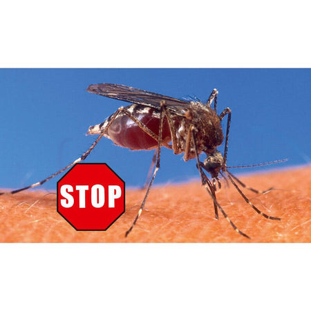 Beko CAREline Insekten-STOP – Hautschutz vor Mücken, Bremsen, Wespen & Zecken