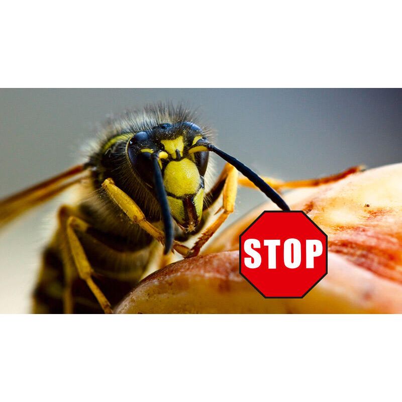Beko CAREline Insekten-STOP – Hautschutz vor Mücken, Bremsen, Wespen & Zecken