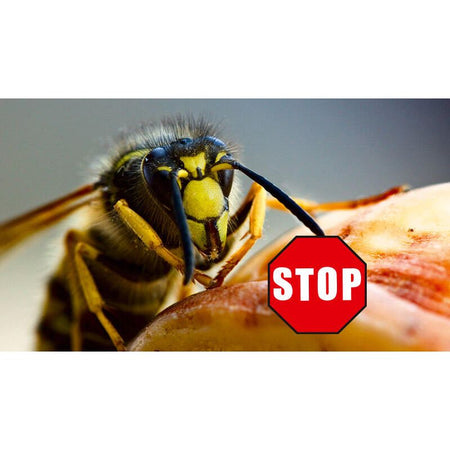 Beko CAREline Insekten-STOP – Hautschutz vor Mücken, Bremsen, Wespen & Zecken