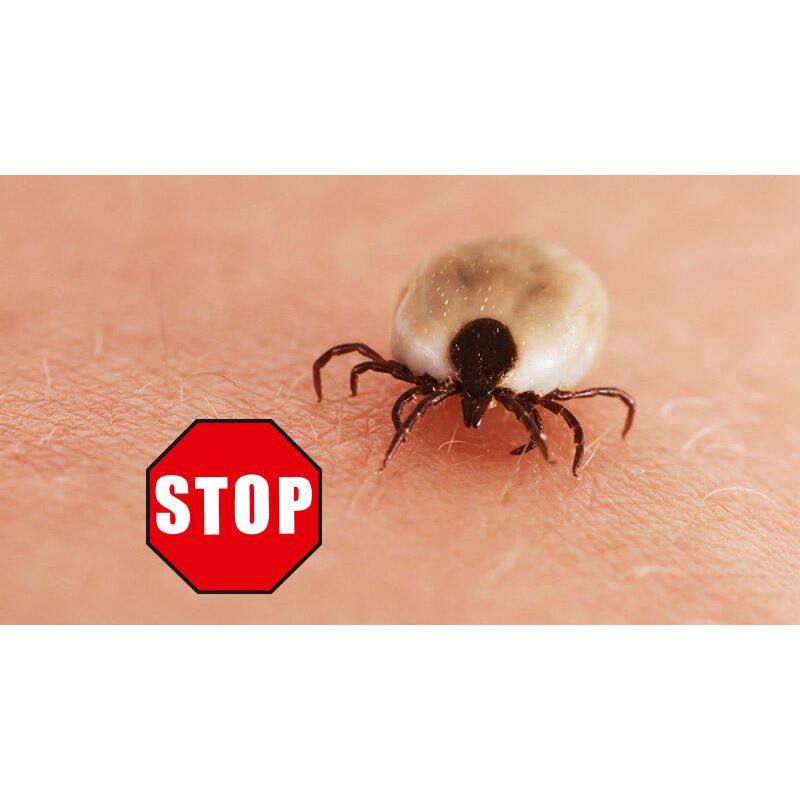 Beko CAREline Insekten-STOP – Hautschutz vor Mücken, Bremsen, Wespen & Zecken