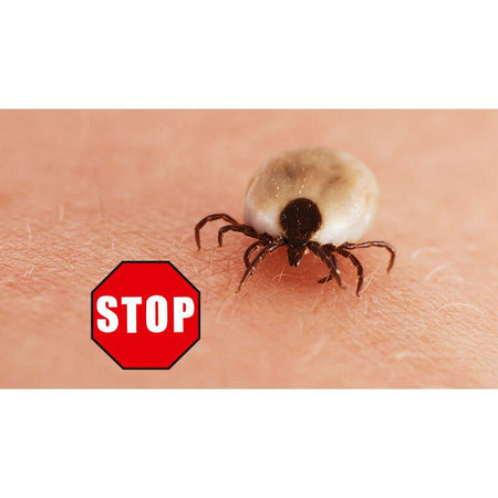 Beko CAREline Insekten-STOP – Hautschutz vor Mücken, Bremsen, Wespen & Zecken