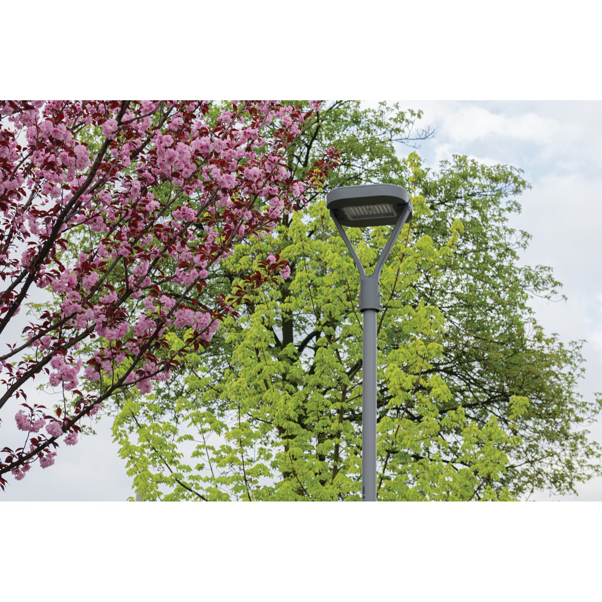 LED Straßenlampe Parkplatzleuchte Hofleuchte PARCOLI 30-50W 3000/4000/6500K