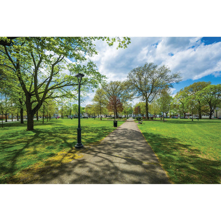 LED Straßenlampe Parkplatzleuchte Hofleuchte PARCOLI 30-50W 3000/4000/6500K